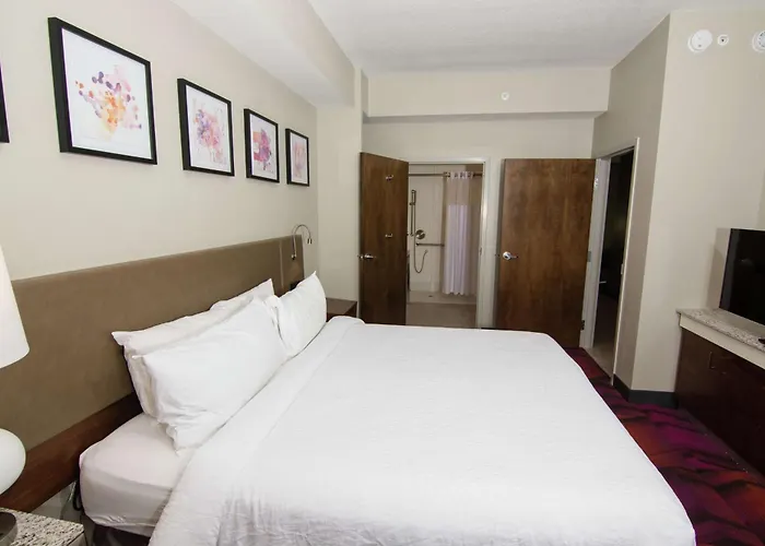 Hilton Garden Inn Tampa Suncoast Parkway