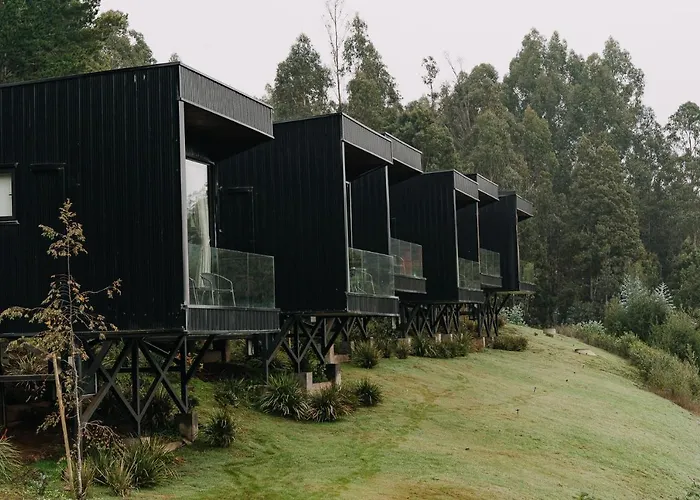 Pura Lodge Concepción