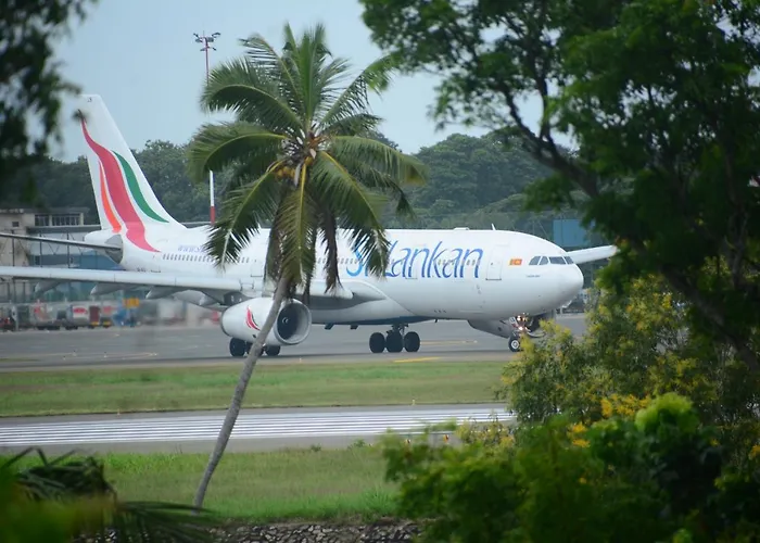 Concey Transit Hotel Airport view