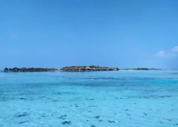 Courtyard Maldives