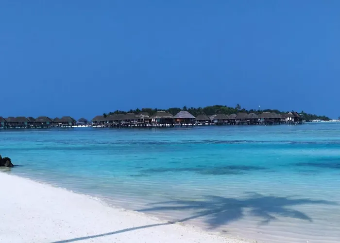 Courtyard Maldives