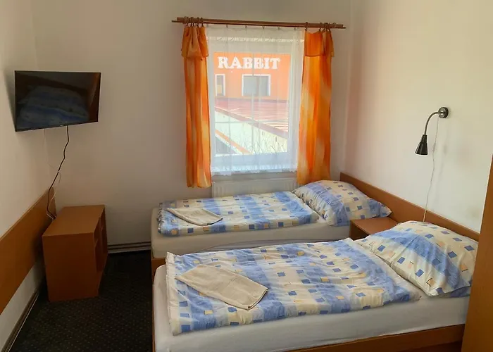 Hotel Rabbit