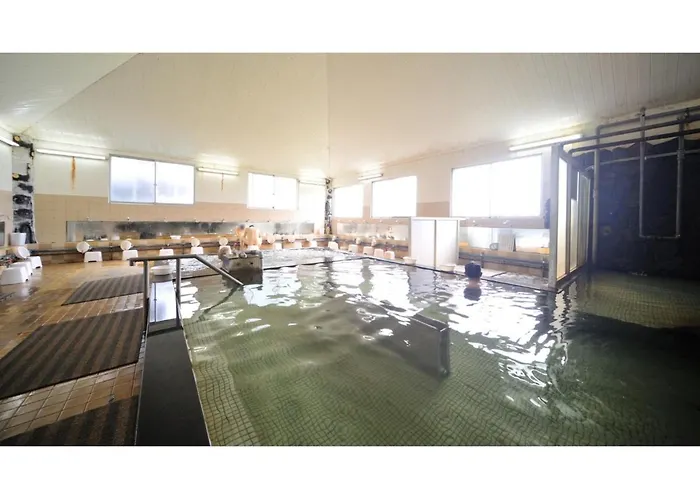 Tennen Onsen Kakenagashi No Yado Hotel Pony Onsen - Vacation Stay 50916V