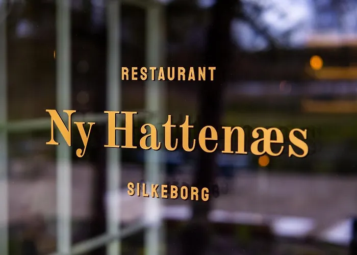Hotel Ny Hattenaes