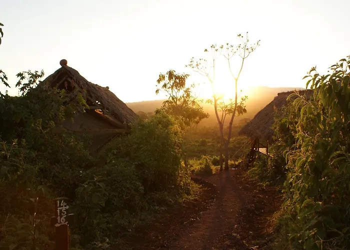 Crater Forest Tented Lodge