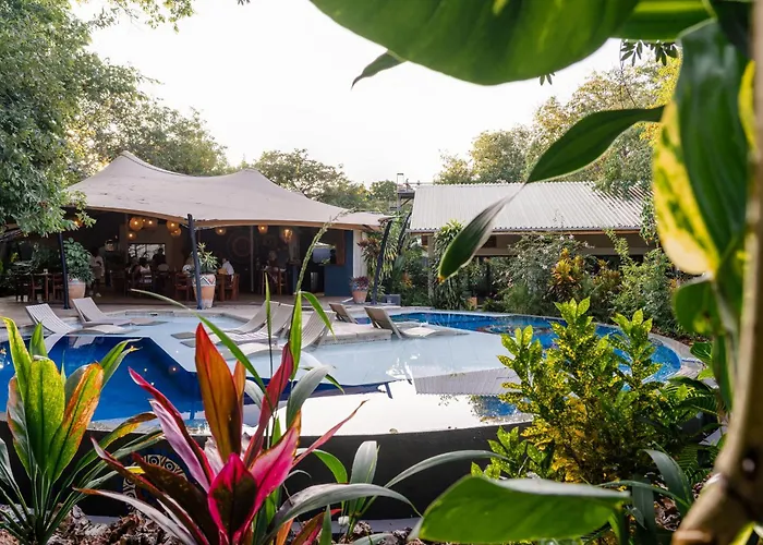 Shongwe Oasis