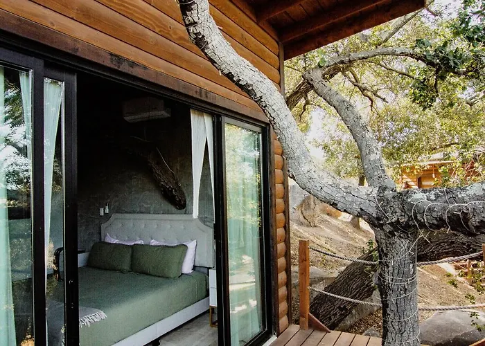 Boskenvid Hotel - Romantic Treehouses & Skypool