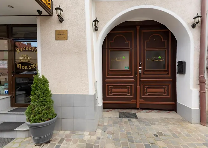 Hotel Pensiune Natural Brasov