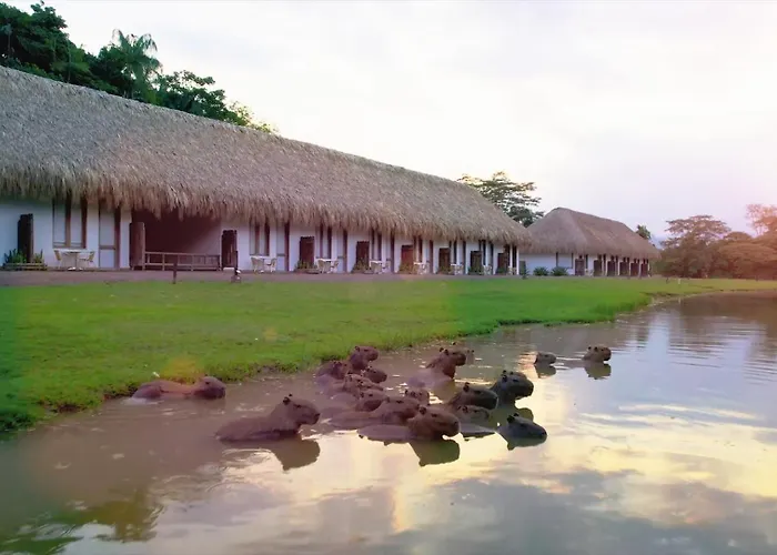 Hotel Reserva De Piedemonte