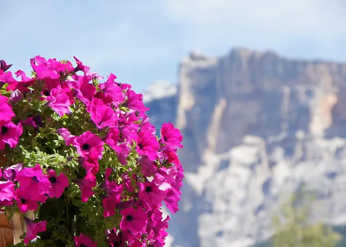 Garni La Ciasota