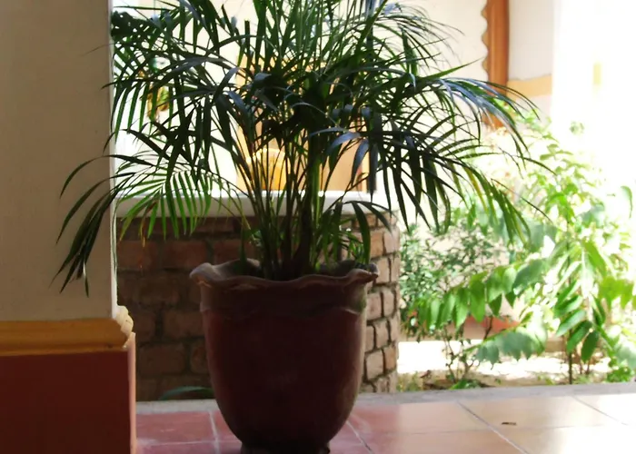 Hotel Casa Barcelona