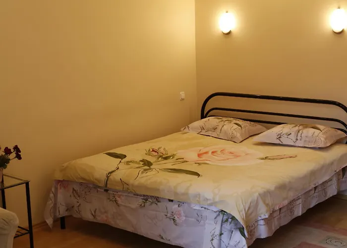 Hotel Service Predslava On Antonovicha Street
