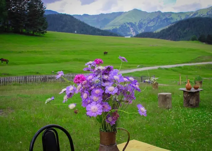 Hotel Tusheti