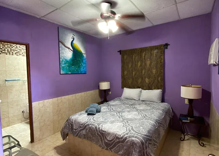 Windmill Hostal