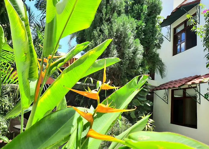 Casa Los Cantaros Hotel Boutique