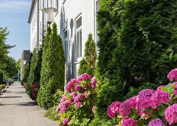 Berne Apartments