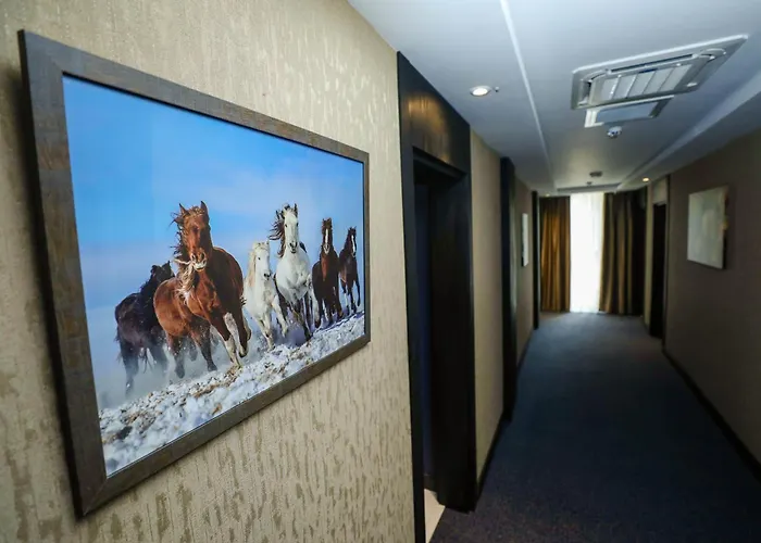 Arium Hotel Baku