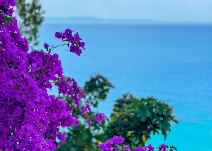 Hotel Odhisea Qeparo