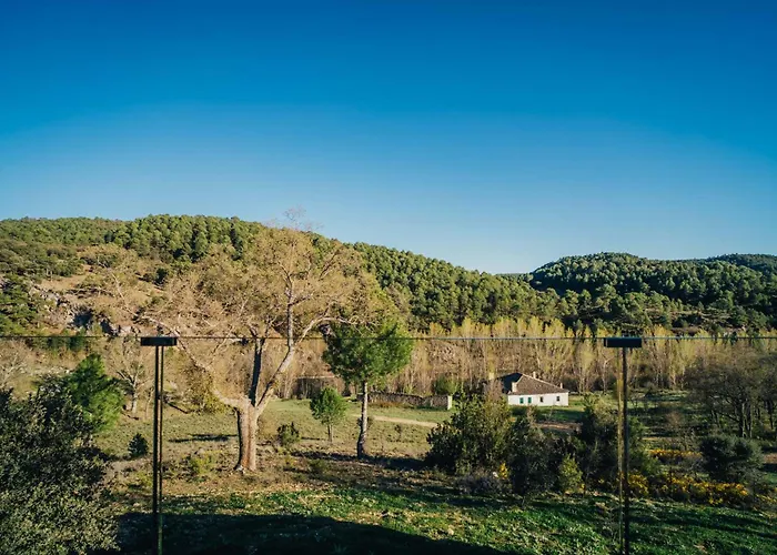 Pachán Dehesa Boyal