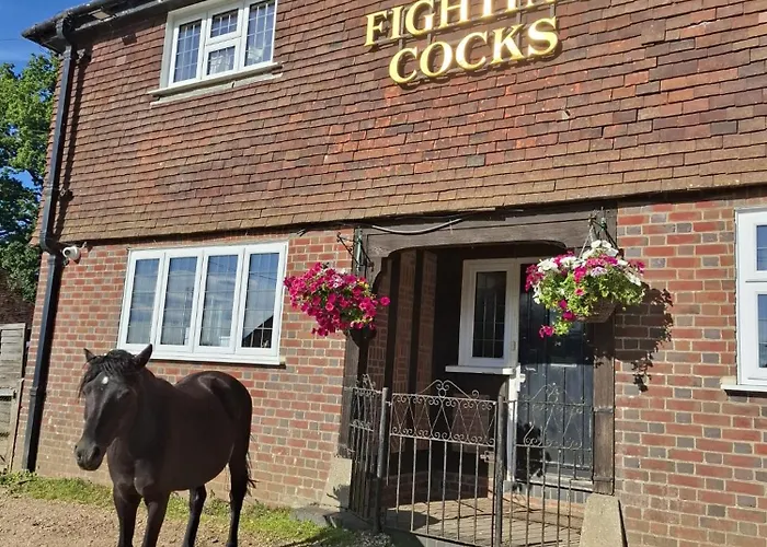 The Fightingcocks