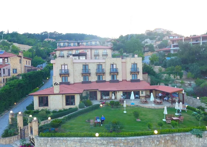 Ida Tas Konak