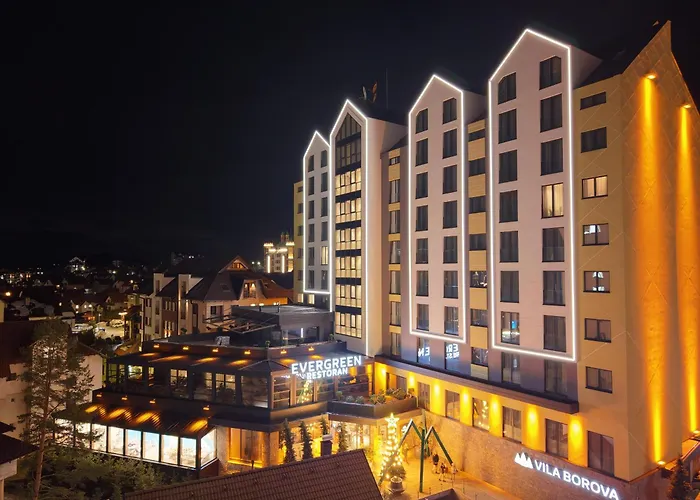 Vila Borova Wellness&Spa Resort