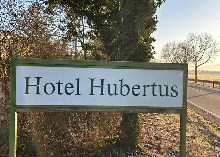 Hotel Hubertus Gernsheim Rhein