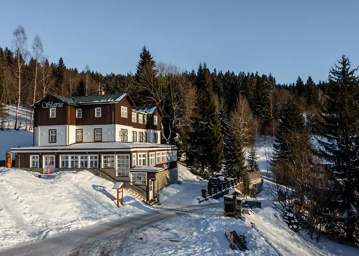 Hotel Slavie