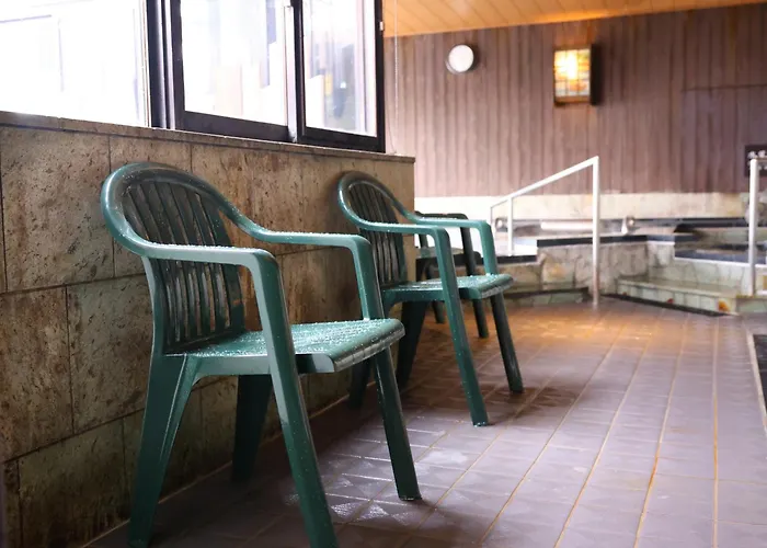 Tennen Onsen Taho-No-Yu Dormy Inn Niigata