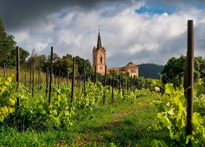 Sant Pere Del Bosc Hotel & Spa - Adults Recommended