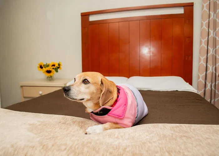 Hotel Colonial Tijuana
