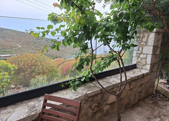 Vila D Boutique Hotel