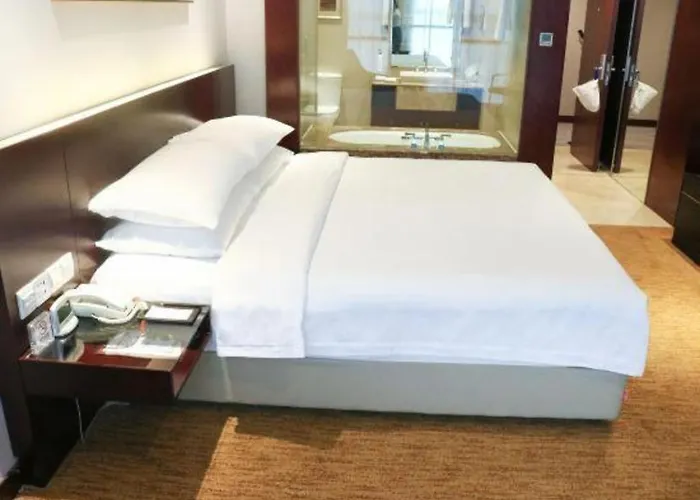 Dingye New Century Hotel Nanjing Nanjing 
