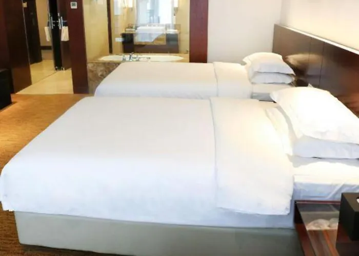 Dingye New Century Hotel Nanjing Nanjing 
