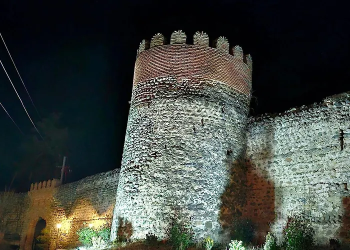 Sighnaghi Hotel Fence Door&Сигнахи Отель Ворота Крепости&Სიღნაღი Სასტუმრო Გალავნის Კარი