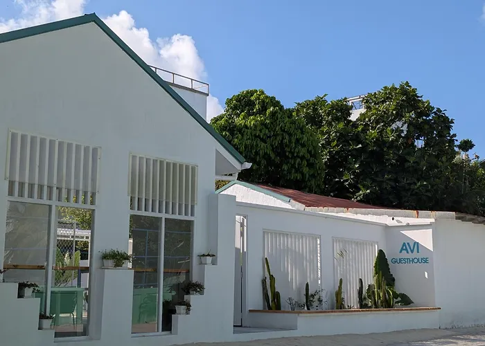 Avi Guesthouse
