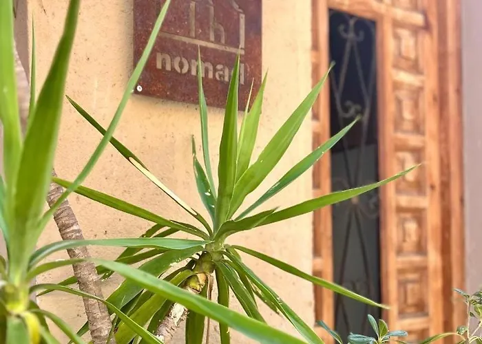 Apartamentos Nomad Home
