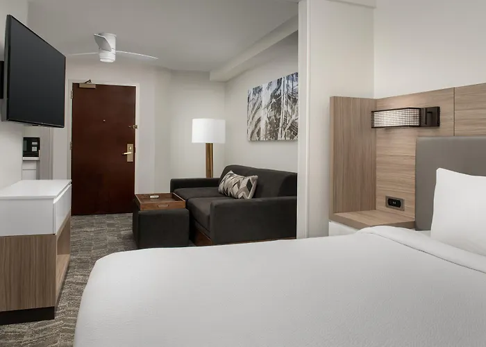 Springhill Suites By Marriott Atlanta Buford/Mall Of Georgia