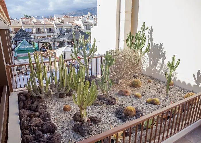 Hilton Vacation Club Royal Sunset Beach Club Tenerife