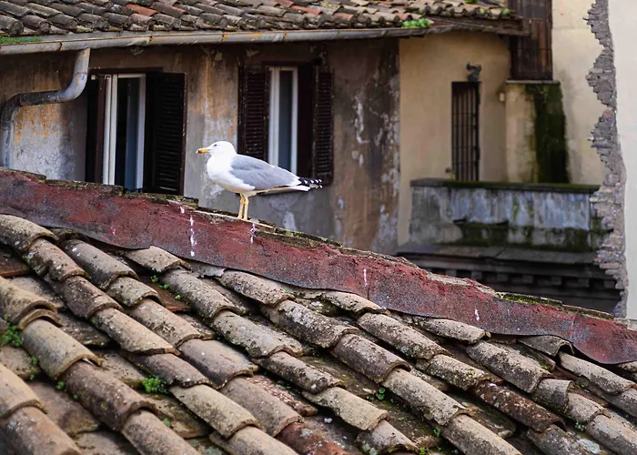 Casa De' Fiori Acomodação com café da manhã Roma