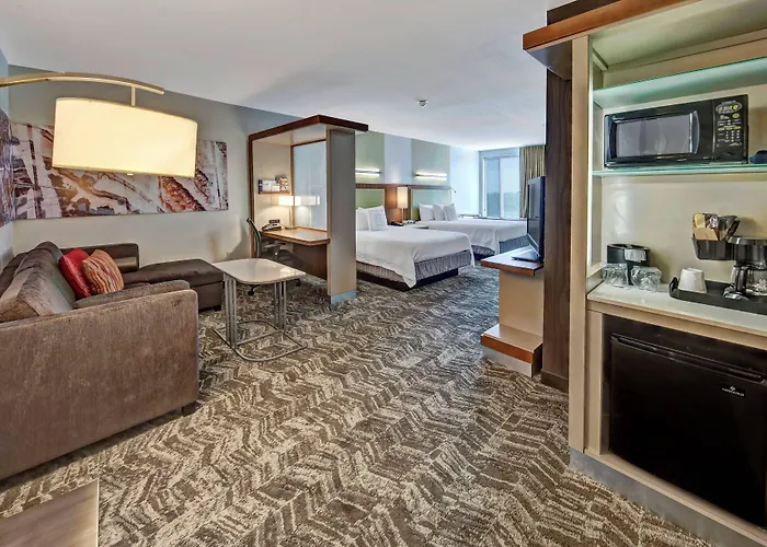 Springhill Suites By Marriott Oklahoma City Moore