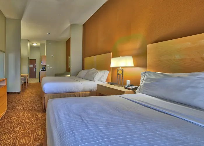 Holiday Inn Express & Suites Lubbock Southwest - Wolfforth By Ihg