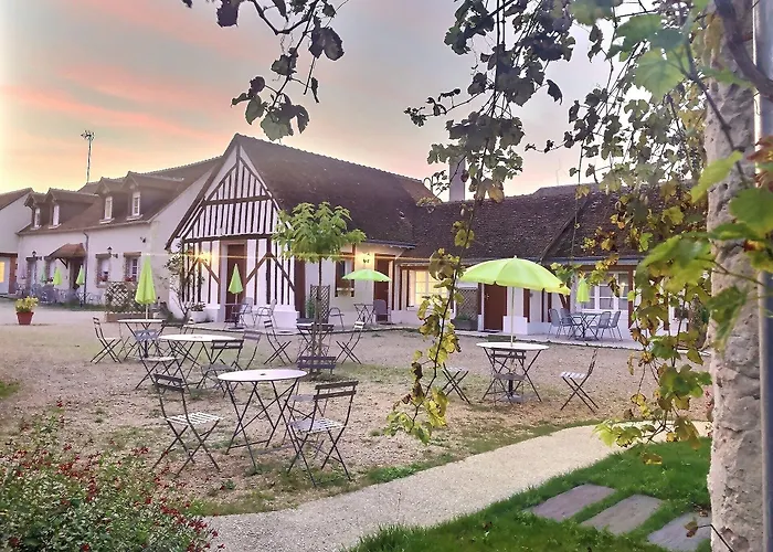 Logis Hotel Du Cygne