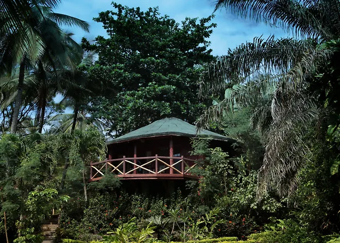 Bom Bom - Principe Collection