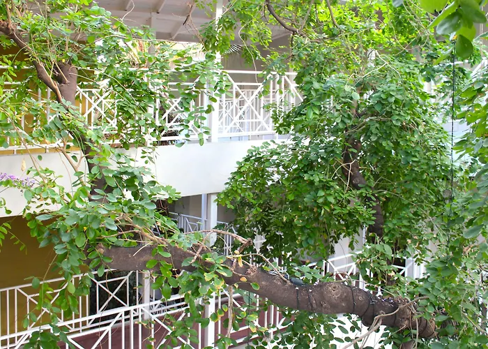 Altamont Court Hotel