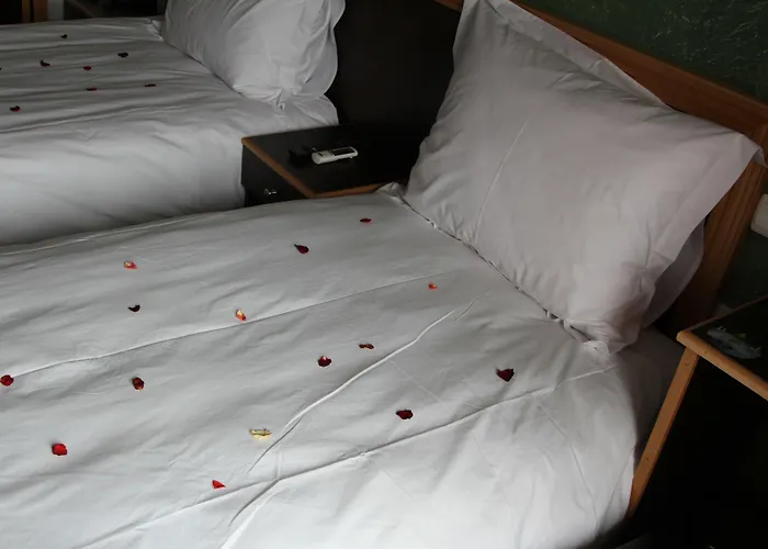 Hotel Belle Vue Et Spa