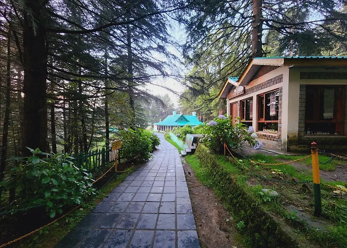 Forest Vibes Kalatop-Rooms And Restaurant
