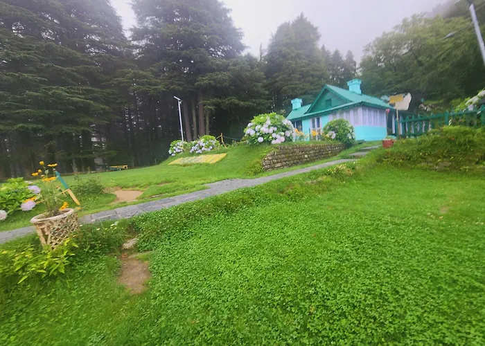 Forest Vibes Kalatop-Rooms And Restaurant