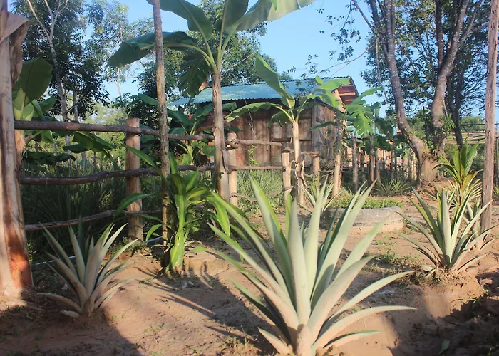 Hotel Pepper Farm Phú Quốc