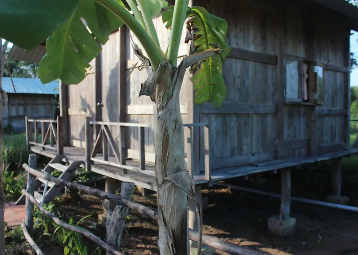 Hotel Pepper Farm Phú Quốc